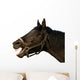 Head of a horse on the isolated background Wall Decal