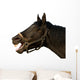 Head of a horse on the isolated background Wall Decal