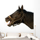 Head of a horse on the isolated background Wall Decal