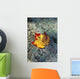 Usa, New Hampshire, Maple Leaf On Granite Wall Mural