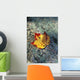 Usa, New Hampshire, Maple Leaf On Granite Wall Mural