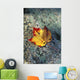Usa, New Hampshire, Maple Leaf On Granite Wall Mural