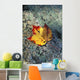 Usa, New Hampshire, Maple Leaf On Granite Wall Mural