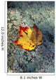 Usa, New Hampshire, Maple Leaf On Granite Wall Mural