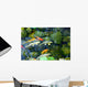 Koi Pond