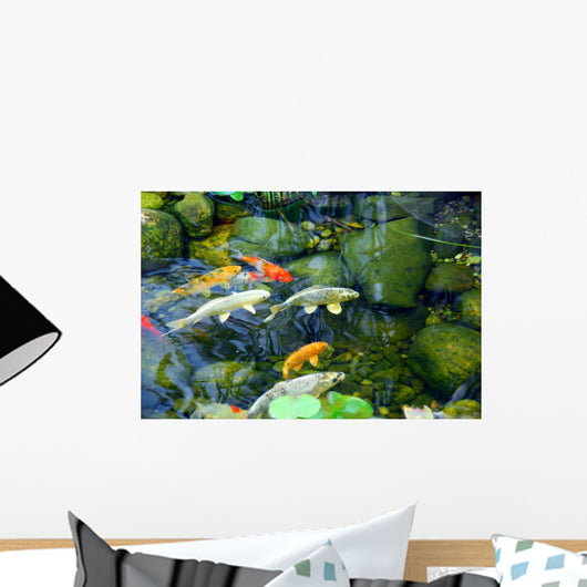 Koi Pond