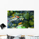 Koi Pond