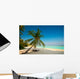 Tropical Dream Beach