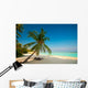 Tropical Dream Beach