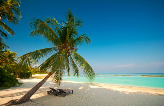 Tropical Dream Beach