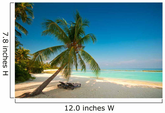Tropical Dream Beach