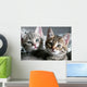 Cat Wall Decal