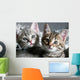 Cat Wall Decal
