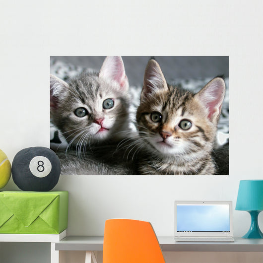 Cat Wall Decal