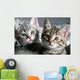 Cat Wall Decal