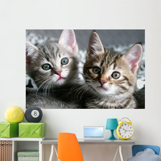 Cat Wall Decal