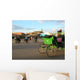 Maroc Wall Decal