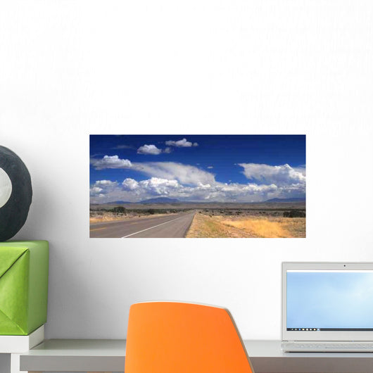 Desolate Road New Mexico Wall Decal