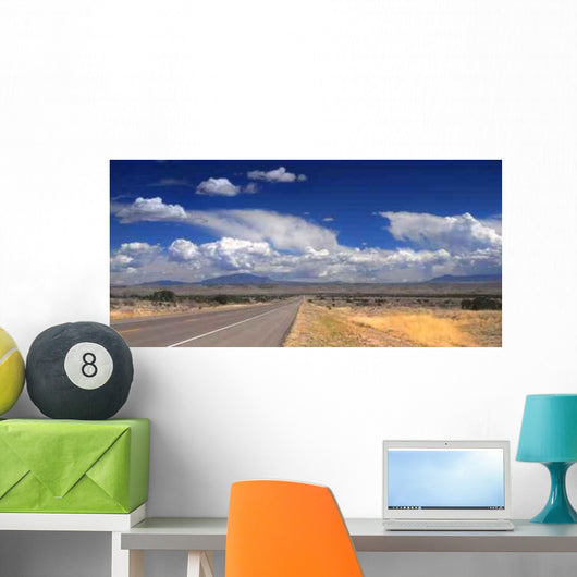 Desolate Road New Mexico Wall Decal