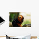Tamarin Lion Tte Dore