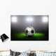 Soccer Ball on the Field of Stadium Wall Mural
