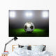 Soccer Ball on the Field of Stadium Wall Mural