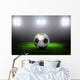 Soccer Ball on the Field of Stadium Wall Mural