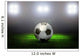 Soccer Ball on the Field of Stadium Wall Mural