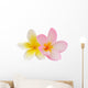 Two Frangipani Flowers Isolated on White Wall Decal
