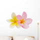 Two Frangipani Flowers Isolated on White Wall Decal