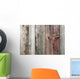 Unpainted Weathered Wooden Boards