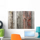 Unpainted Weathered Wooden Boards