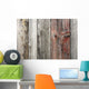 Unpainted Weathered Wooden Boards
