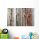 Unpainted Weathered Wooden Boards