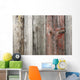 Unpainted Weathered Wooden Boards