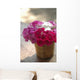 India, Pink And White Flowers In Terracotta Pot At Ahilya Fort Hotel Wall Mural