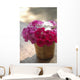 India, Pink And White Flowers In Terracotta Pot At Ahilya Fort Hotel Wall Mural