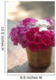 India, Pink And White Flowers In Terracotta Pot At Ahilya Fort Hotel Wall Mural