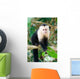 White Faced Capuchin Monkey Wall Mural