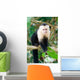 White Faced Capuchin Monkey Wall Mural