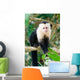White Faced Capuchin Monkey Wall Mural