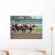 Gulfstream Racing Wall Mural