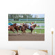 Gulfstream Racing Wall Mural