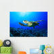 Sea Turtle Wall Mural