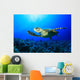 Sea Turtle Wall Mural