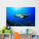 Sea Turtle Wall Mural