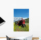 Red Farm Tractor Wall Mural