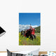 Red Farm Tractor Wall Mural