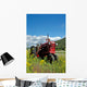 Red Farm Tractor Wall Mural