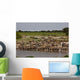 Zebras Waterhole Wall Mural